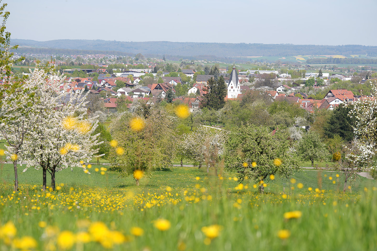 Der bescheuliche Ort Zell mit seinem Teilort Pliensbach am Rande vom Aichelberg